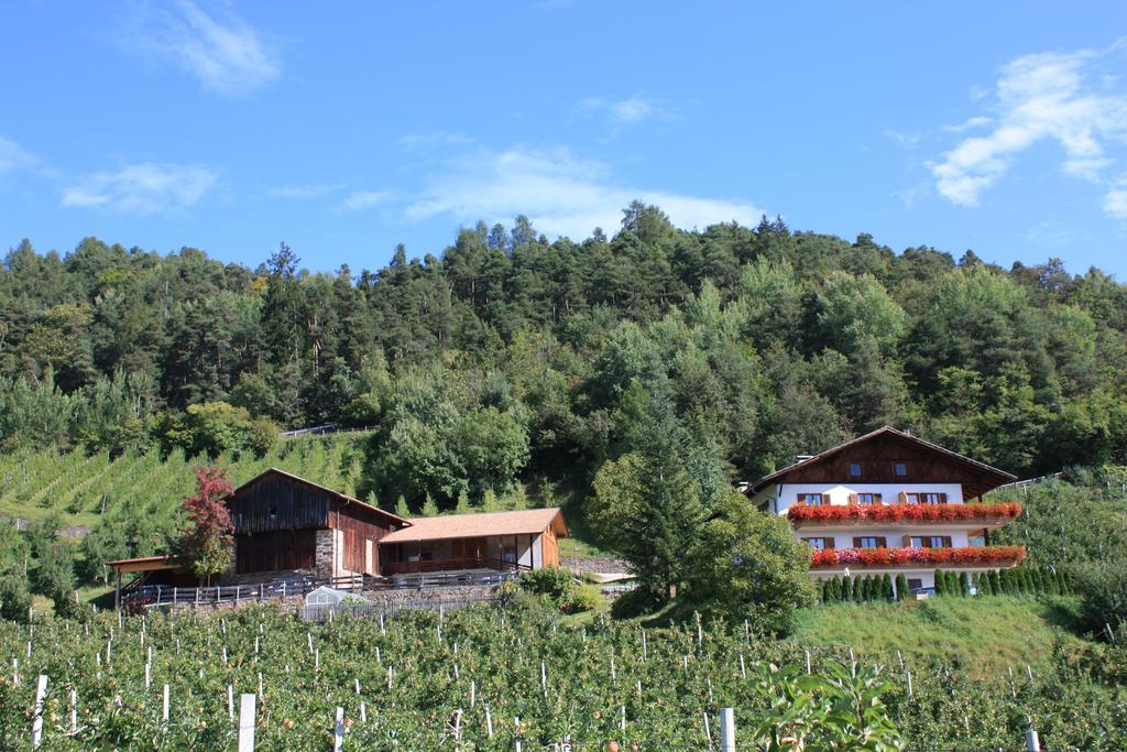 Ferienbauernhof Masunerhof 피에 외부 사진