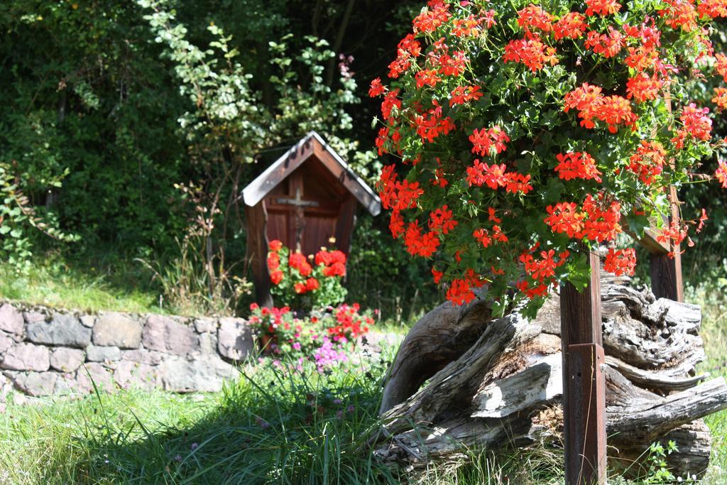 Ferienbauernhof Masunerhof 피에 외부 사진